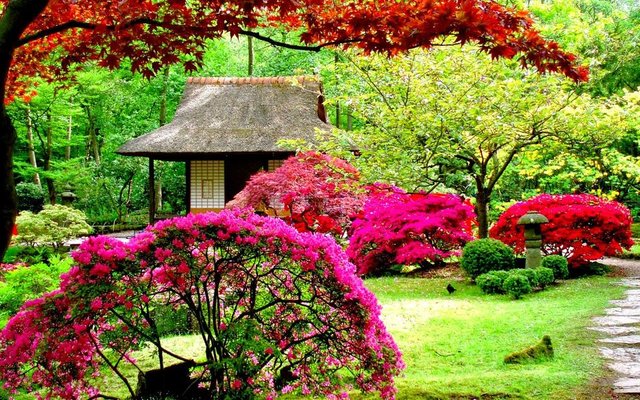 beautiful flower garden.jpg