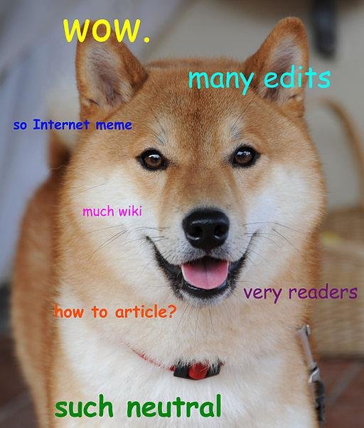 Doge_homemade_meme2.jpg