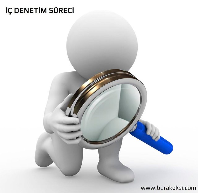 ic-denetim-prosesi.jpg