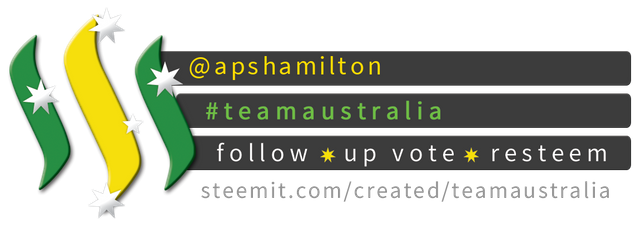 TeamAustralia Compact Banner