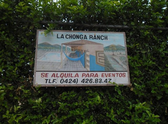 chonga ranch.JPG