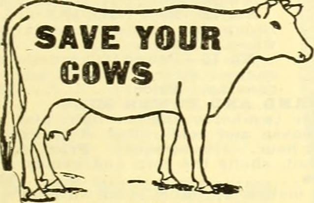save your cows.jpg