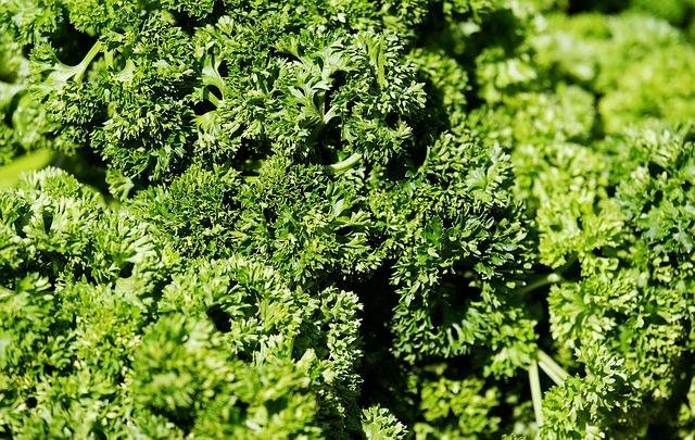 parsley-3267600_640.jpg