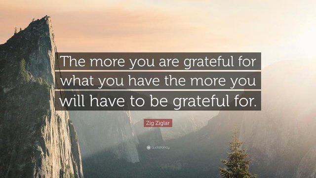 8034-Zig-Ziglar-Quote-The-more-you-are-grateful-for-what-you-have-the.jpg