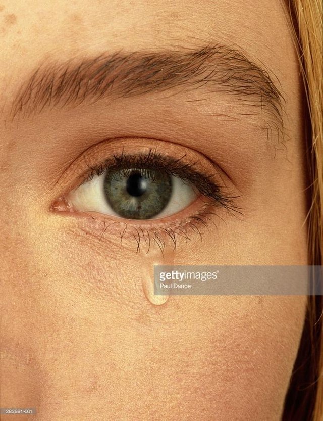 DQmSrZo9SAnX3i61XU7Wj7Vi6wfGAYusW4PwCmW36Xn3kPY.jpg