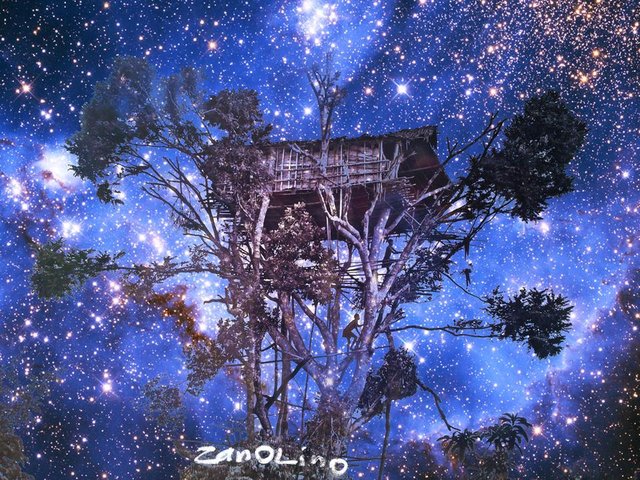 Salgado-tree-house-at-night-S.jpg