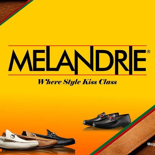 melandrieshoes___BS8qU9yljzn___.jpg