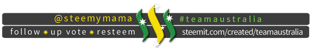 TeamAustralia Slim Banner