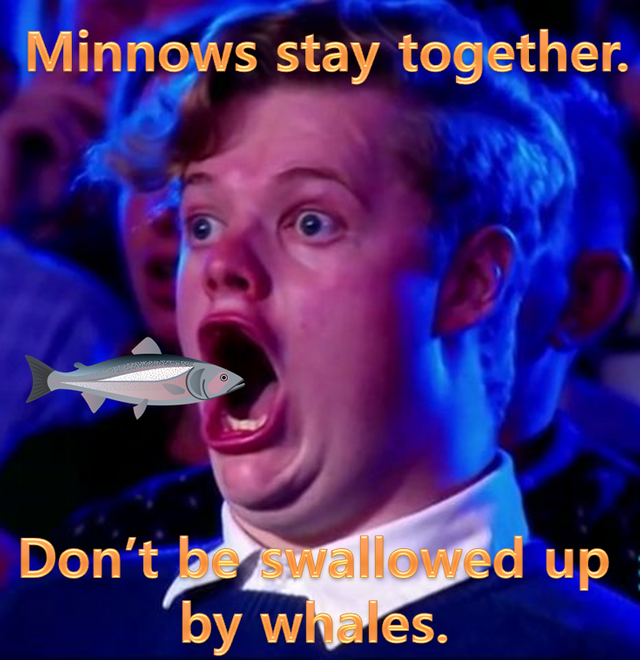 minnow.PNG