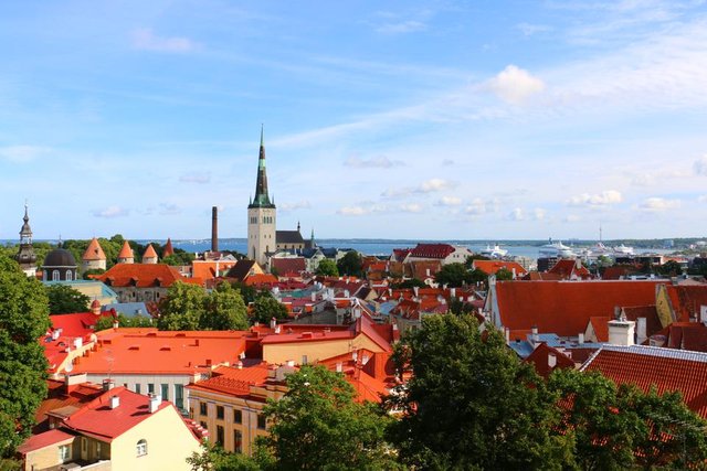 Tallinn Skyline