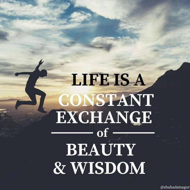 Life is a constant exchange of beauty & wisdom.jpg