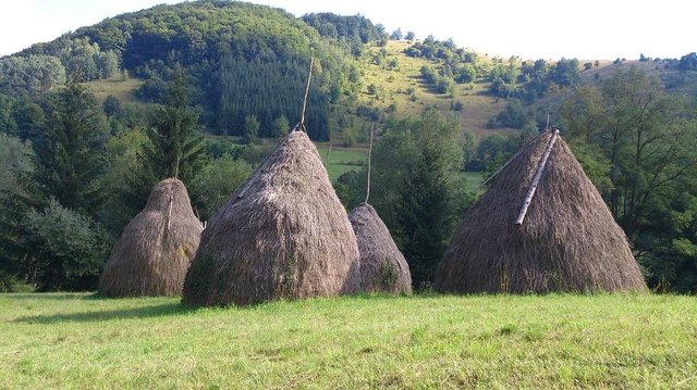 serbian village field.jpg