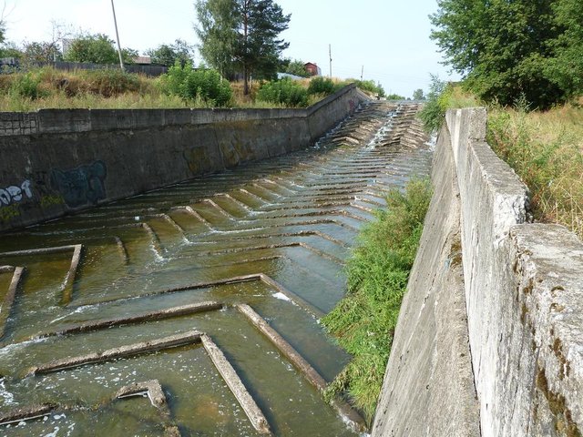 P1020282.JPG