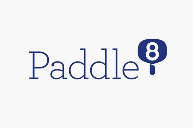 the-paddle8-business-model-1.jpg