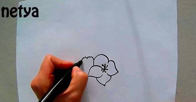 Step By Step Flower Pattern Drawing Adim Adim Cicek Deseni Cizimi Steemit