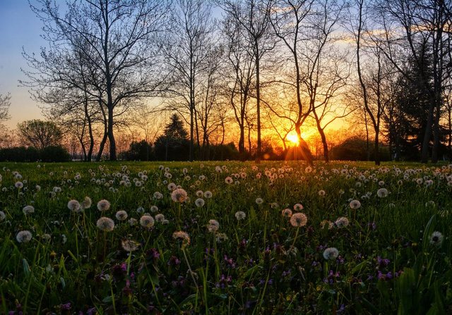 1524290818_Spring_morningC.jpg