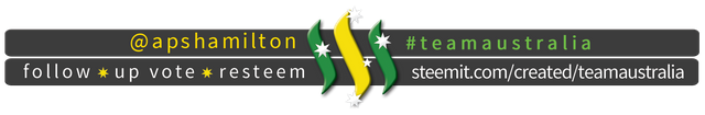 TeamAustralia Slim Banner