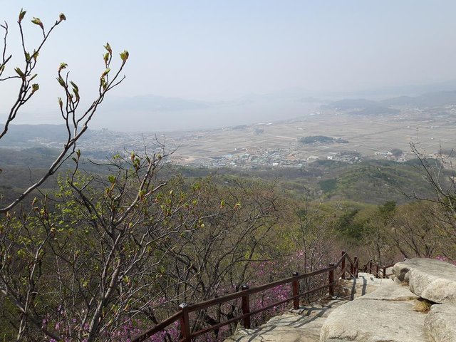 20180420_142052.jpg