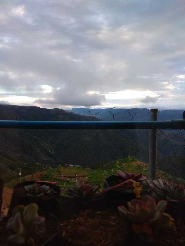 JPEG_20180331_060737.jpg