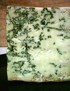 240px-Blue_Stilton_Penicillium.jpg