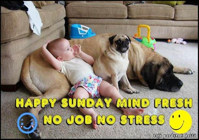 Happy Sunday Mind Fresh No Job No stress .....lol.jpg