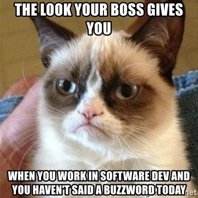 the-look-your-boss-gives-you-when-you-work-in-software-dev-and-you-havent-said-a-buzzword-today