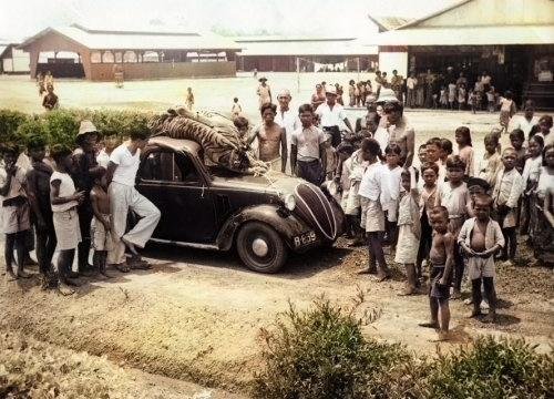 Berburu Harimau di Lampung, 1939. Het Leven. Colorized..jpg