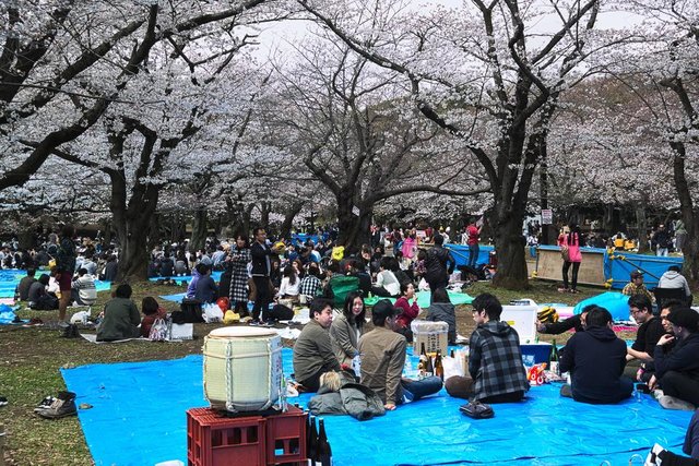 tokyo park party.jpg