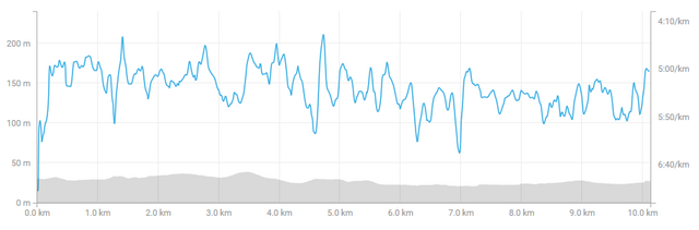 screenshot-www.strava.com-2018-05-12-21-29-39.png