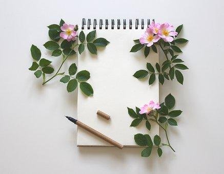 notebook-3397136__340.jpg