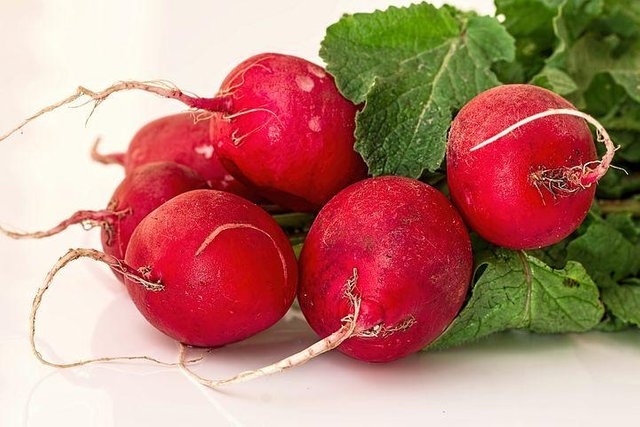 radish-1537141__480.jpg