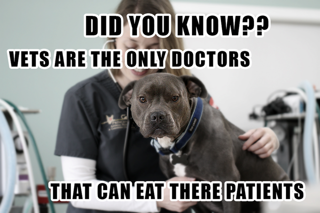 Vets Eat Patients.png