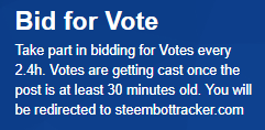 bid4vote30.PNG