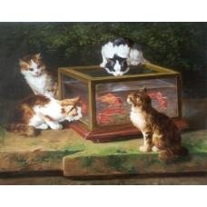 four-cats-around-an-aquarium-228x228.jpg