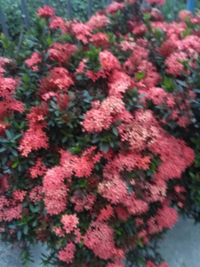 IMG_20180330_183833.jpg