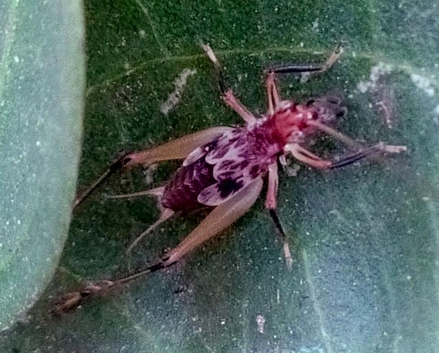 20180420_235940.jpg