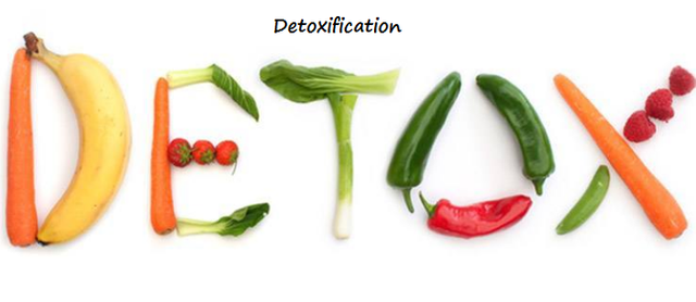 Detoxification.png