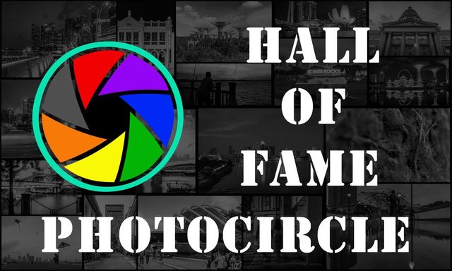 PC thumbnail - daily authors - Hall of Fame.jpg