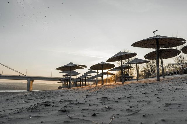 danube river beach in novi sad.jpg