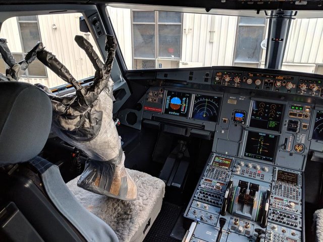 deer-plane-cockpit.jpg
