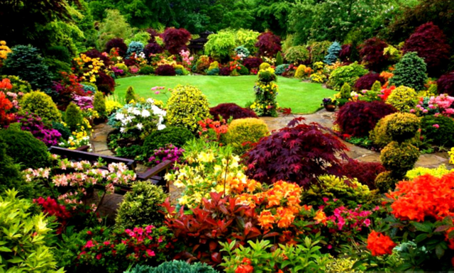 beautiful flower garden.png
