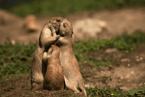 The family are hugging each other tightly..png