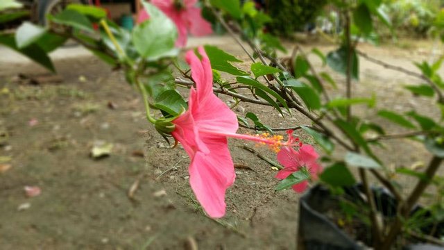IMG_20180401_135632.jpg