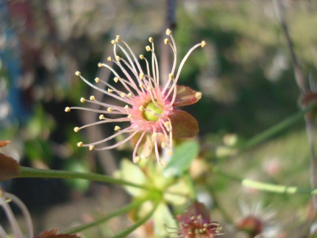 DSC09525.JPG