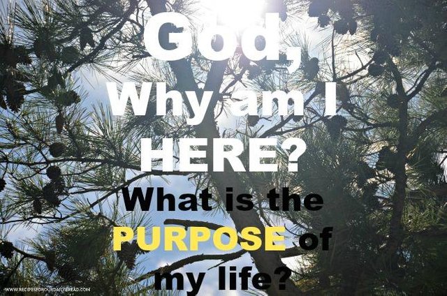 God-Why-am-I-here-What-is-the-purpose-of-my-life.jpg