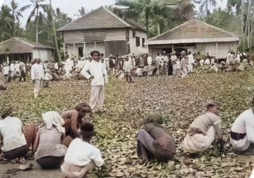 Pembuatan Kopra di Banjarmasin, 1913. Het Leven. Colorized..jpg