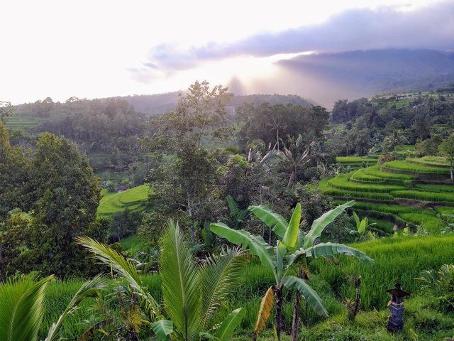 bali14.jpg