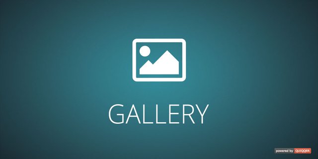 QUIQQER Gallery