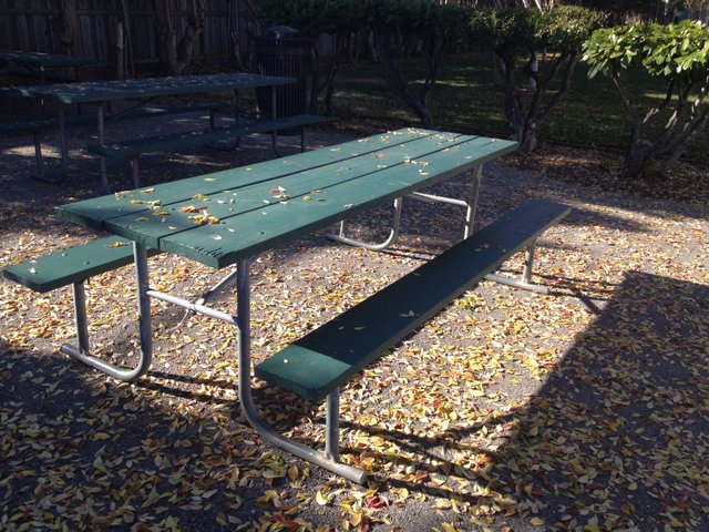 picnic bench