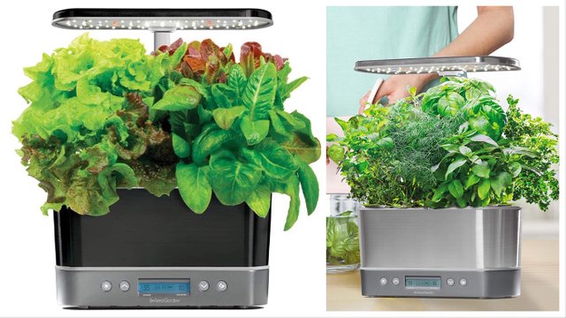 Indoor Garden Kit